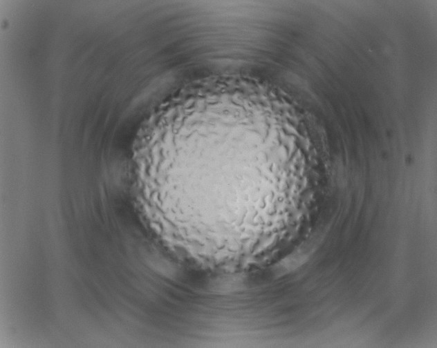 X0000067940138200604272044