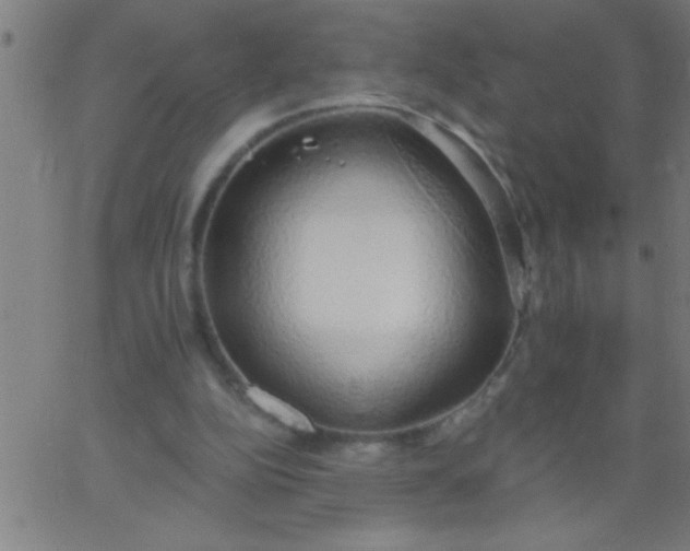 X0000067940152200604272043