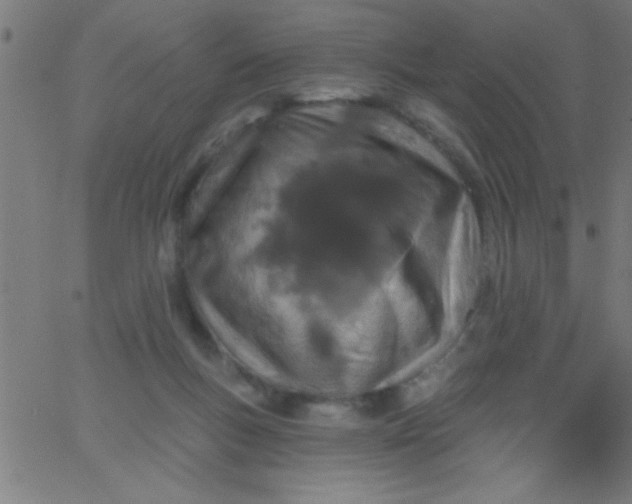 X0000067940167200604272043
