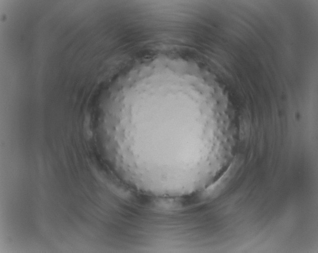 X0000067940187200604272043