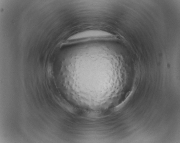 X0000067940191200604272043