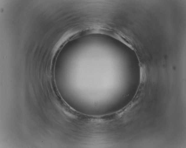 X0000067940195200604272043