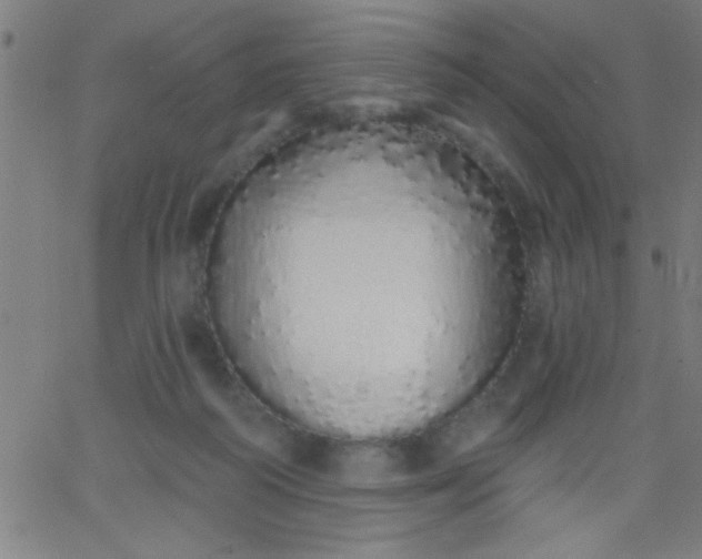 X0000067940218200604272042