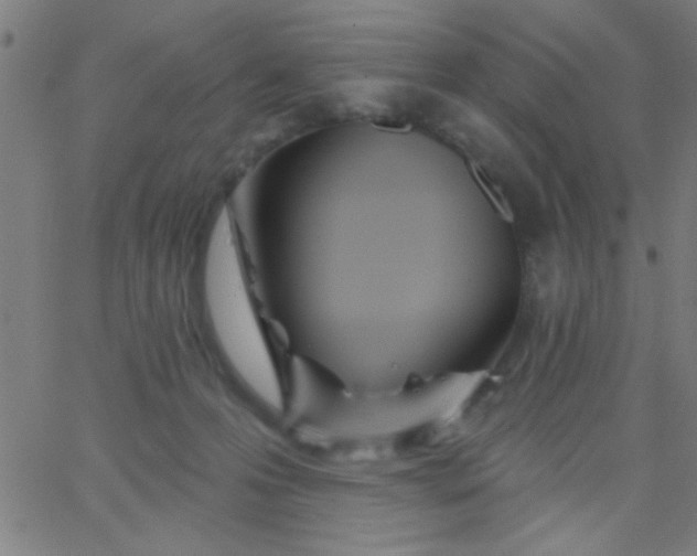 X0000067940223200604272042