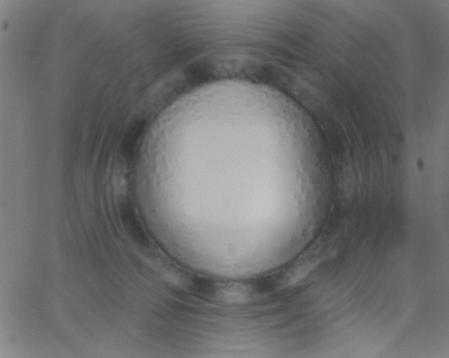 X0000067940226200604272042