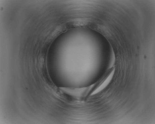X0000067940227200604272042
