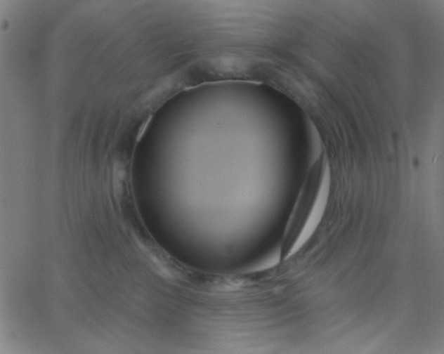 X0000067940235200604272042