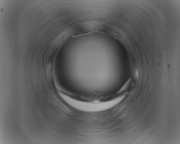X0000067940239200604272042