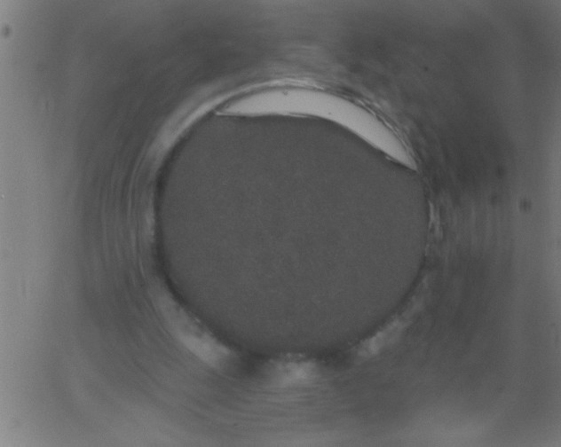 X0000067940247200604272041