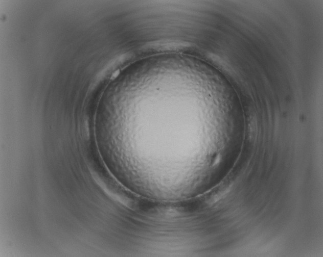 X0000067940254200604272041