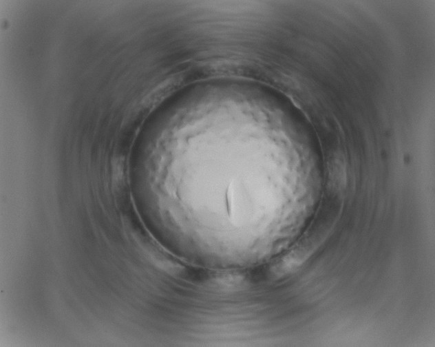 X0000067940278200604272042