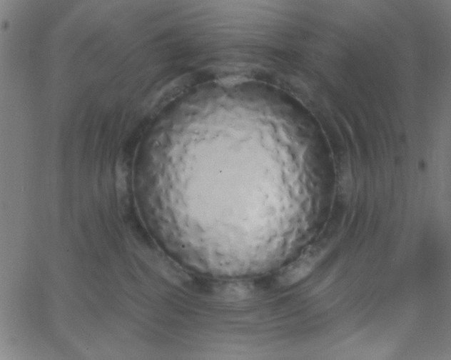 X0000067940282200604272042