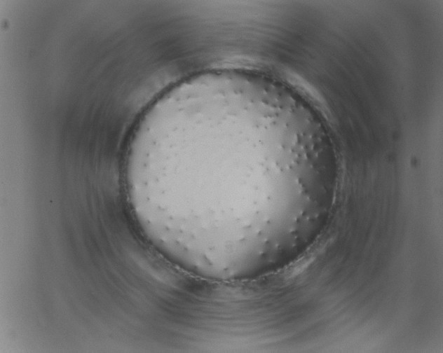 X0000067940298200604272041