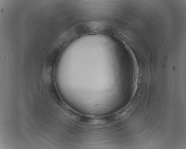 X0000067940319200604272041