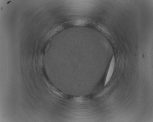 X0000067940325200604272040