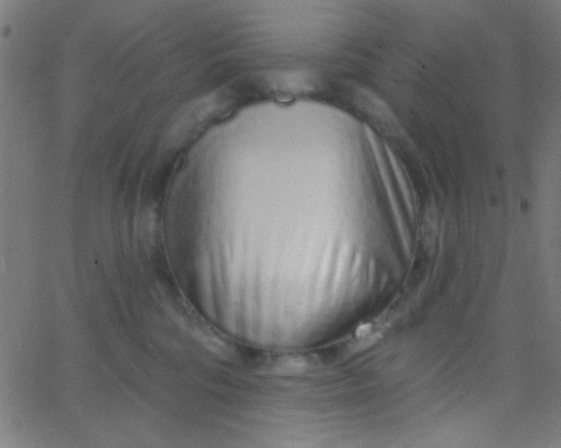 X0000067940330200604272040