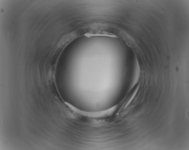X0000067940333200604272040