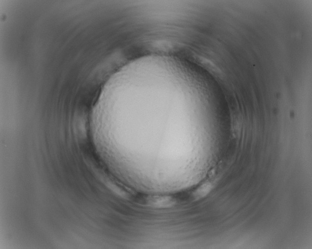 X0000067940334200604272040