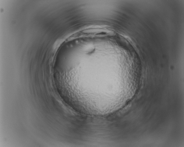 X0000067940337200604272039