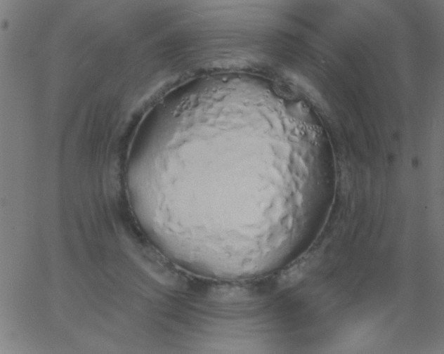 X0000067940354200604272040