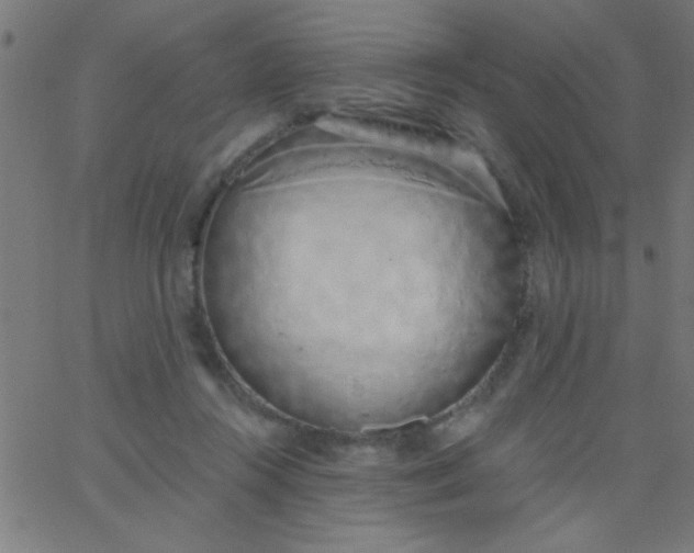 X0000067940360200604272040