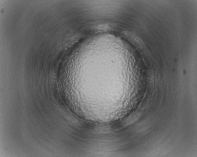 X0000067940369200604272040