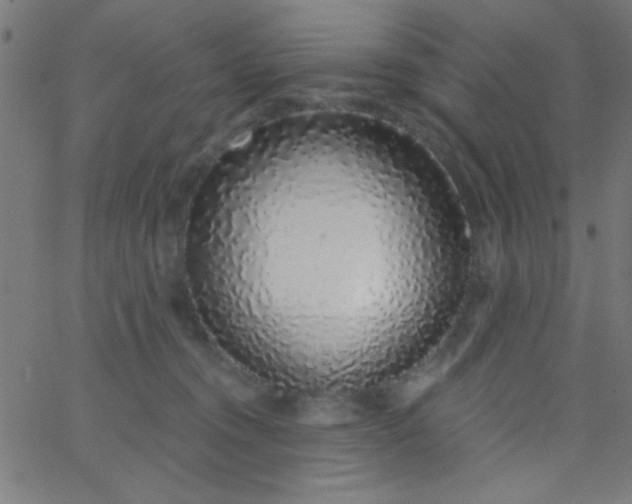 X0000067940372200604272040