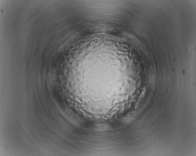 X0000067940376200604272040