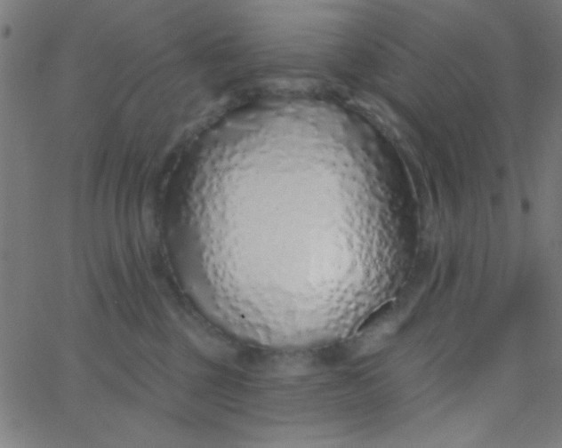 X0000067940377200604272040