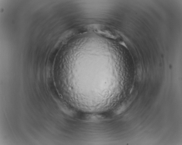 X0000067940379200604272040