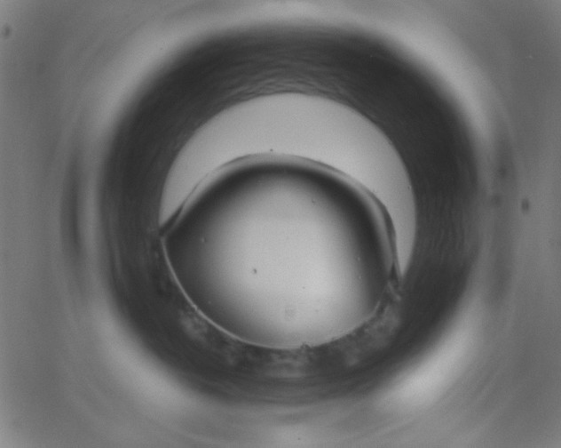X0000067940382200604272040