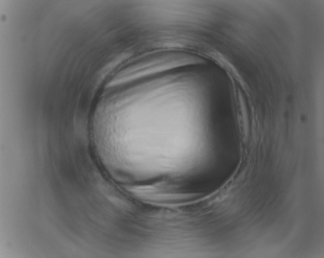 X0000067940386200604272039