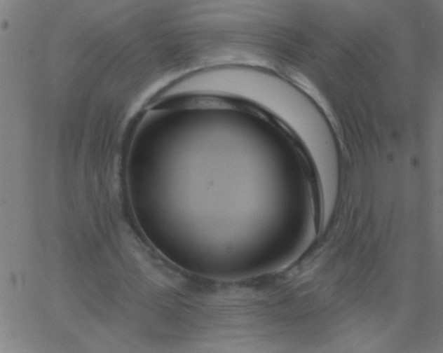 X0000067940387200604272039