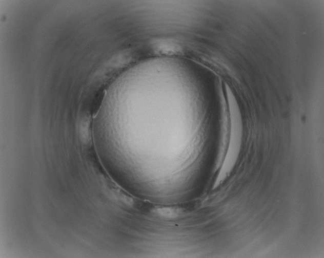 X0000067940417200604272039
