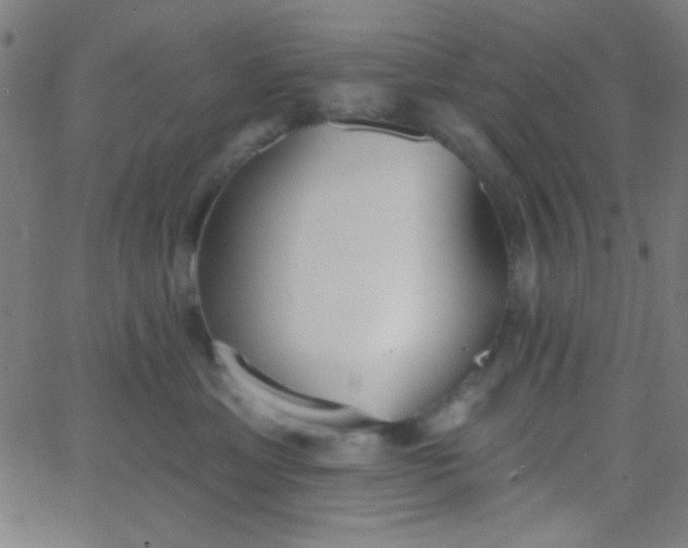X0000067940429200604272039