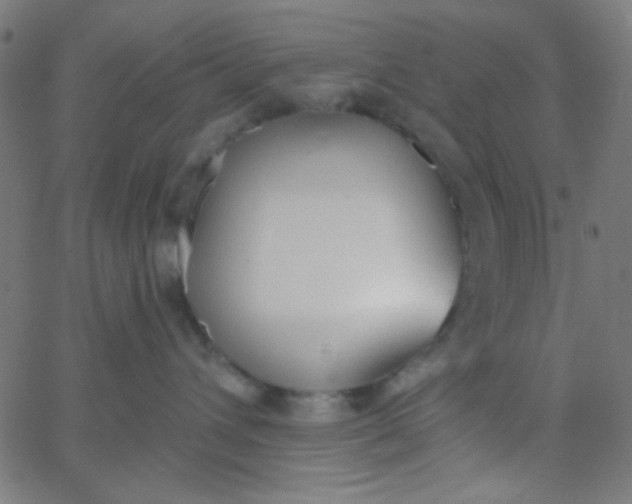X0000067940432200604272039