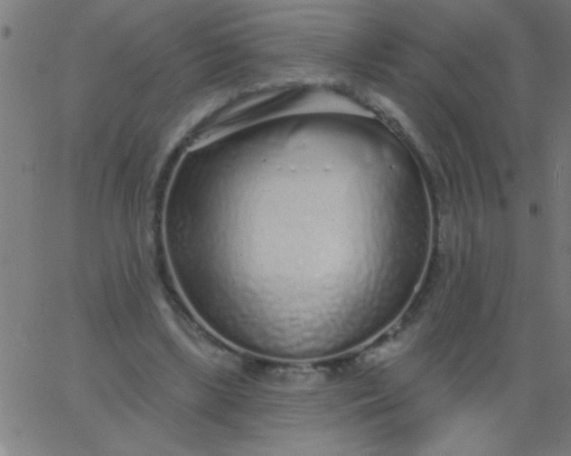 X0000067940443200604272038