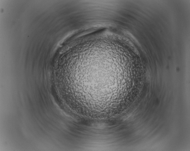 X0000067940444200604272038