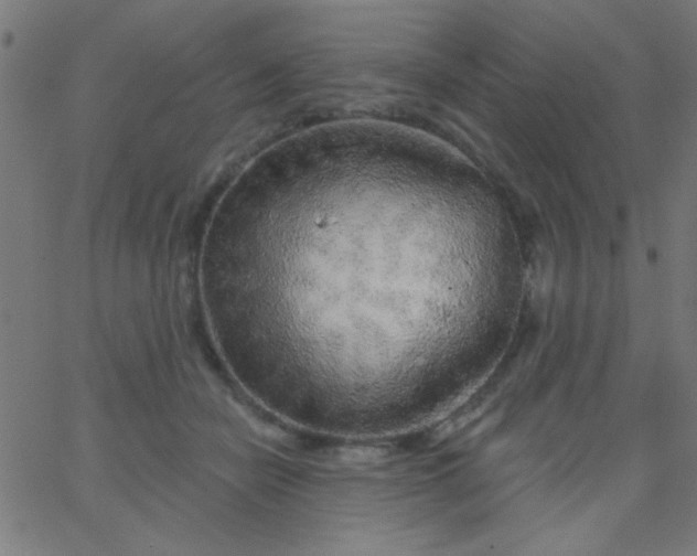 X0000067940462200604272038