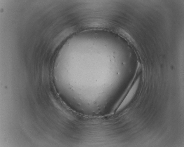 X0000067940482200604272038