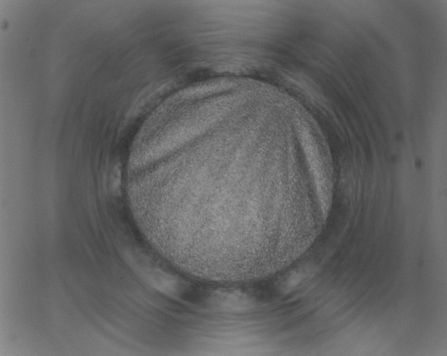 X0000067940502200604272038