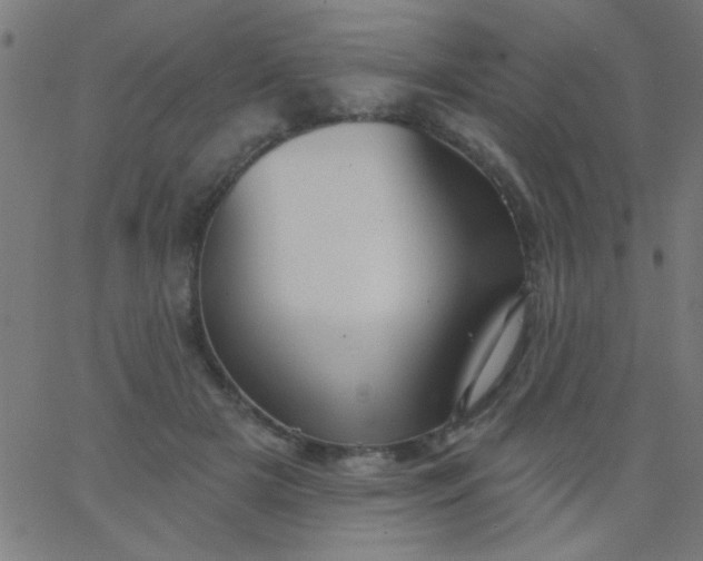 X0000067940505200604272037