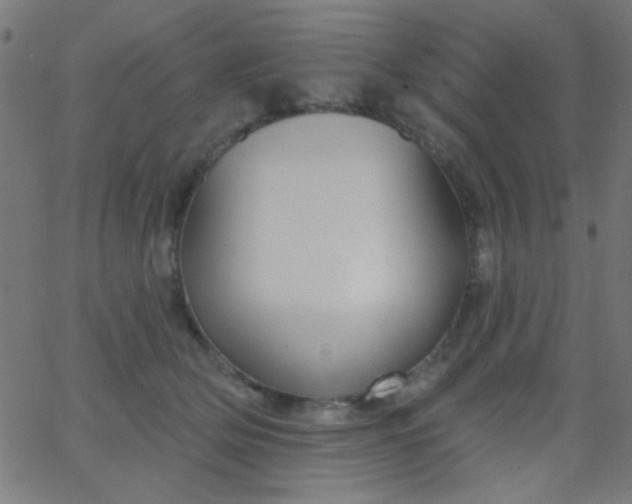 X0000067940514200604272037