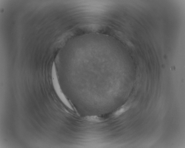 X0000067940528200604272037