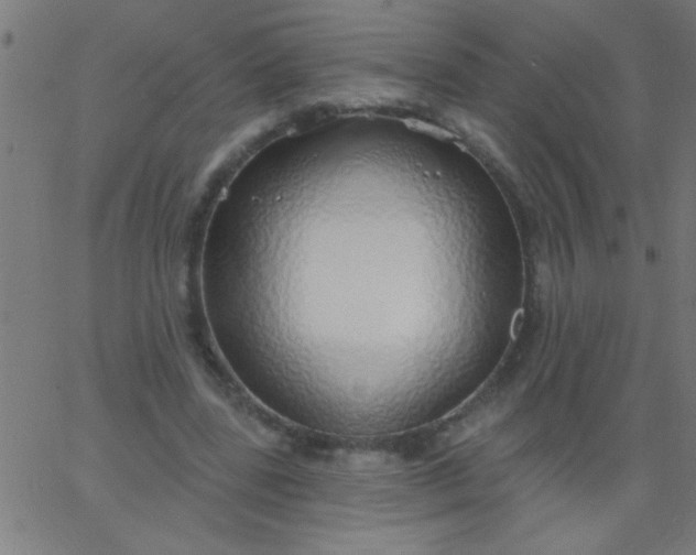 X0000067940539200604272036