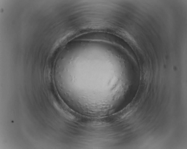 X0000067940542200604272037