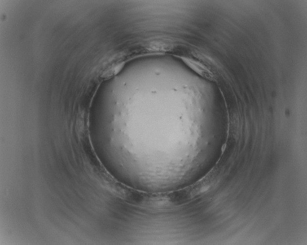 X0000067940554200604272037