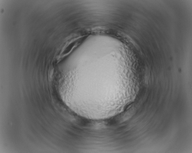 X0000067940569200604272037