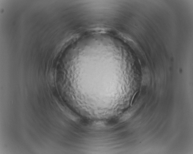 X0000067940573200604272037