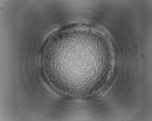 X0000067940585200604272036